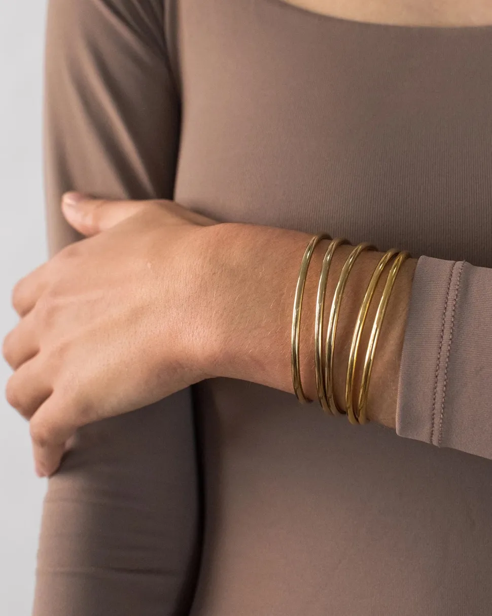 Dane Bangle Set of 5 Bracelets