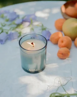 No. 6 Solstice